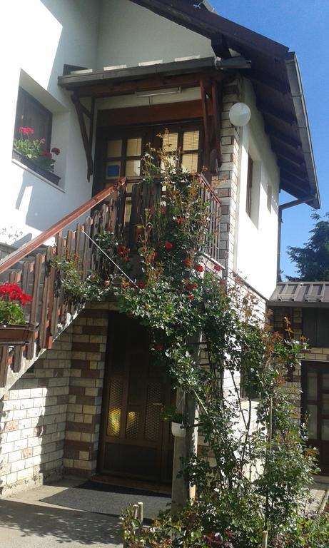 Apartment Bucic Zlatibor Bagian luar foto